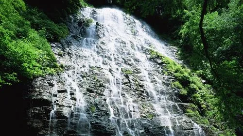 节能自动化精密